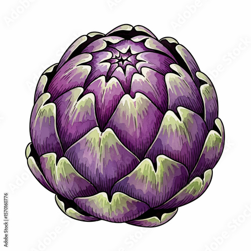 A Purple Artichoke