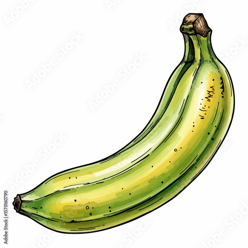 A Single Plantain