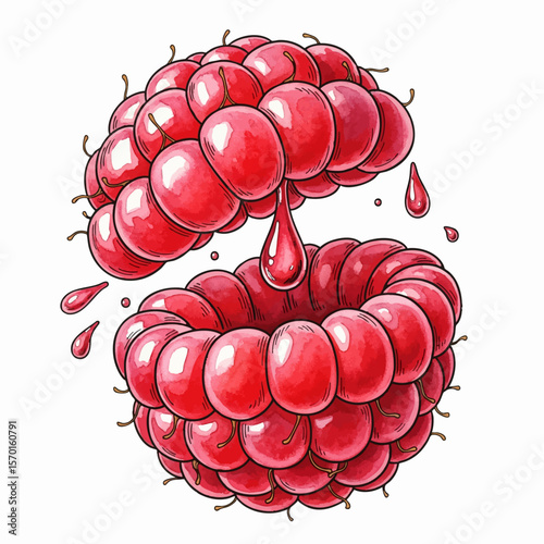 A Crushed Raspberry