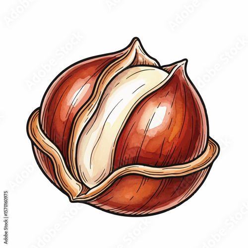 A Peeled Chestnut