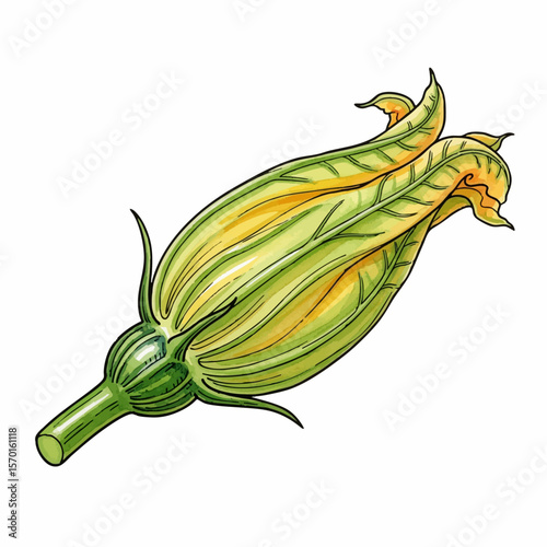 A Zucchini Blossom