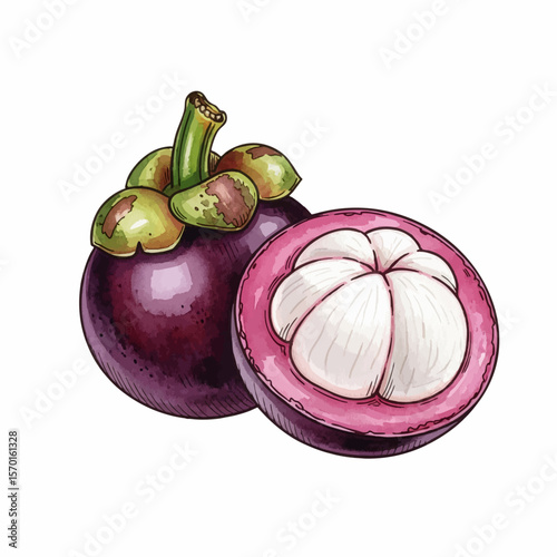 Mangosteen and Half