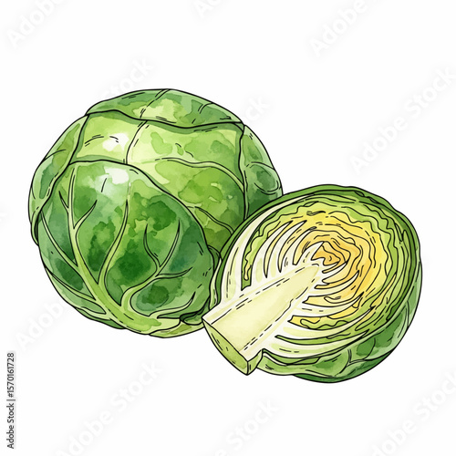 Brussels Sprout and Half
