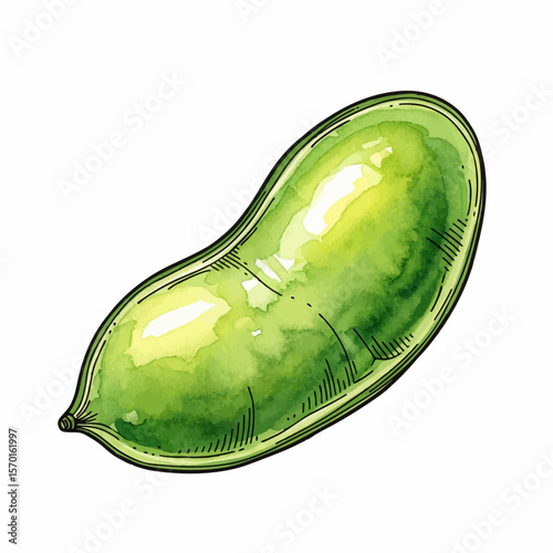 A Single Lima Bean