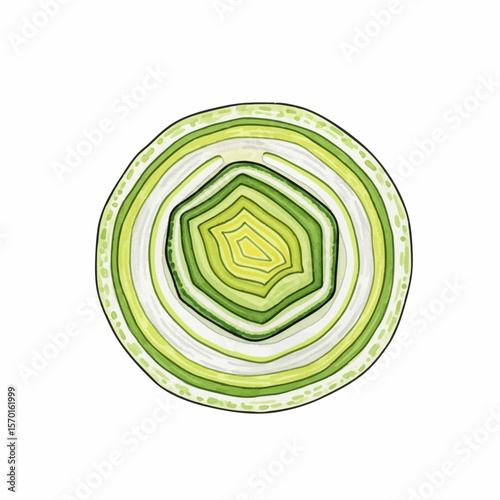 A Leek Cross-Section