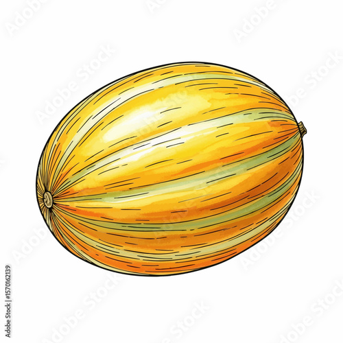 A Canary Melon