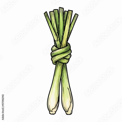 A Knot of Lemongrass