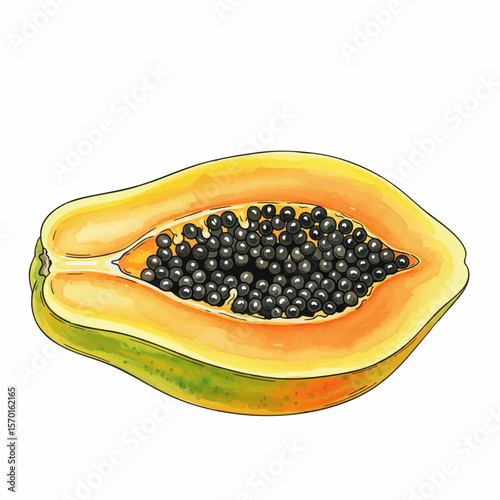 A Halved Yellow Papaya