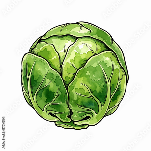 A Single Brussels Sprout