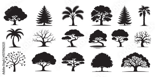 Tree Silhouette Vector Pack With Various Forest Plant Shapes Collection Of Coniferous Oak And Tropical Palm Trees For Landscape Design And Decoration