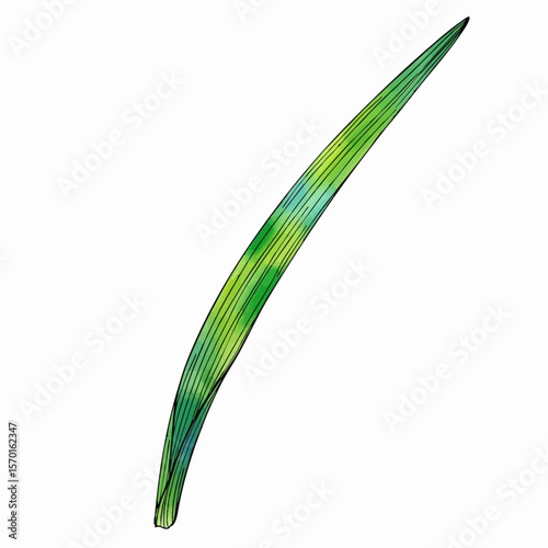 A Single Chive