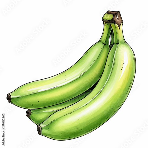 A Bunch of Green Bananas