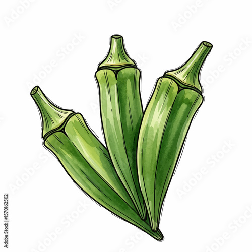 Three Okra Pods