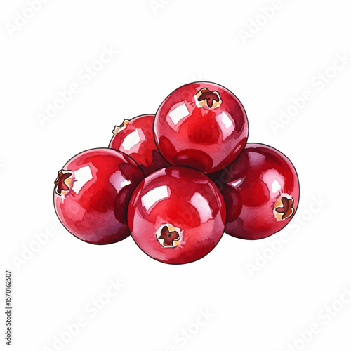 A Cluster of Cranberries