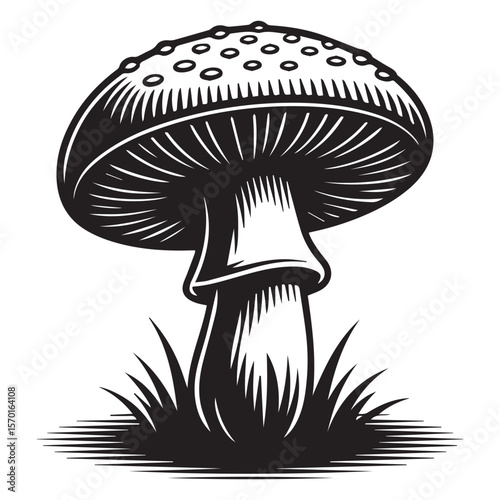 A striking black and white woodcut style illustration of a classic fly agaric mushroom with its distinctive red cap adorned with white spots set against a clean white background