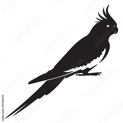 A striking black silhouette of a cockatiel perched elegantly showcasing its distinctive crest and long tail feathers against a clean white background