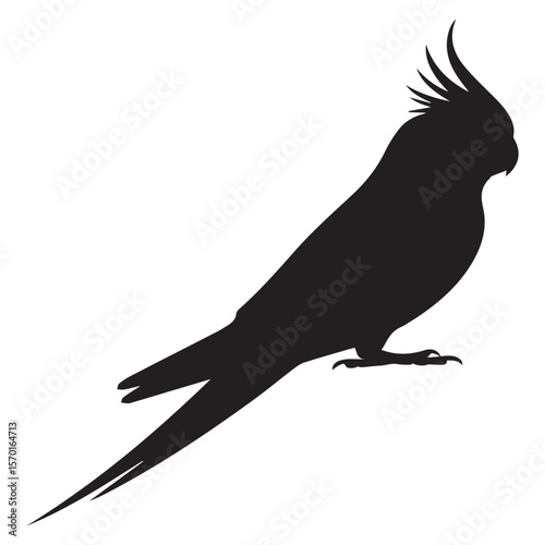 A striking black silhouette of a cockatiel perched gracefully against a clean white background showcasing its distinctive crest and long tail feathers