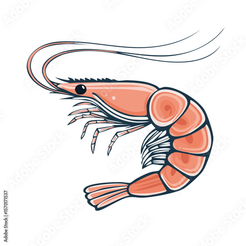 Illustration of a shrimp on a black background delicious seafood crustacean invertebrate delicacy stylized cartoon