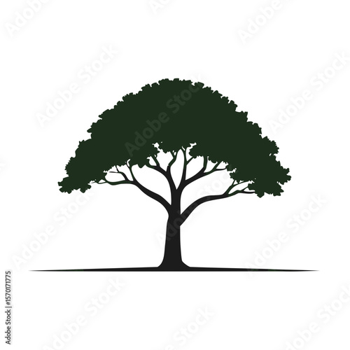 Single Tree Silhouette Against Black Background Tree Shape and Leaves