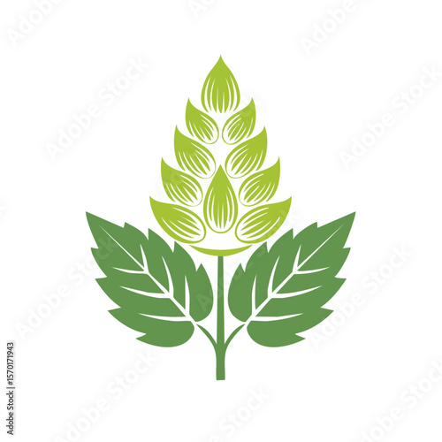 Stylized hop flower and leaves illustration on black background