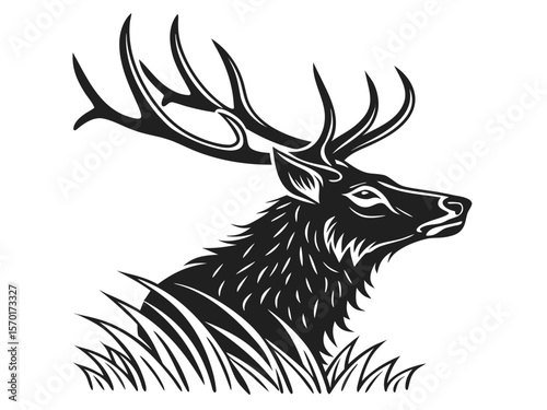 Majestic elk with large antlers peeking through tall grass isolated on white background