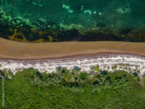 A dramatic aerial view of Cancun's paradise coastline invaded by sargassum — showcasing the environmental clash between luxury resorts, mangroves, and ocean pollution.
