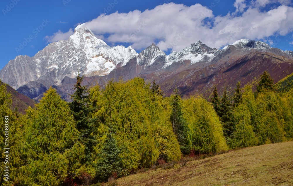 Fototapeta premium 四川省 四姑娘山ハイキング
