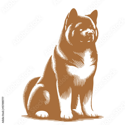 座っている秋田犬のシルエットイラスト