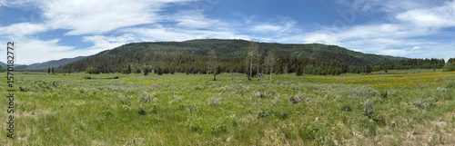 Panorama of Caribou National Forest in Idaho