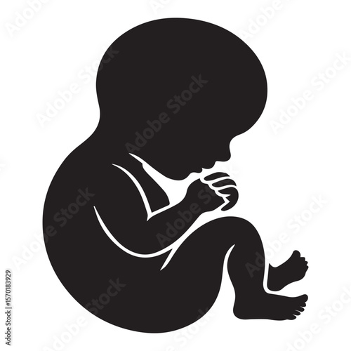 A stylized black silhouette of a human fetus curled up in a fetal position showcasing its developing form and delicate features against a clean white background