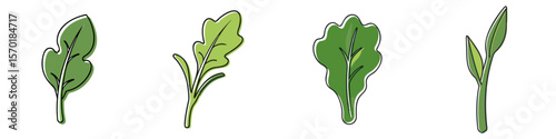 Vibrant dandelion, endive, kale and sorrel leaf sprout icon set in hand drawn style for creative designs and nature inspiration