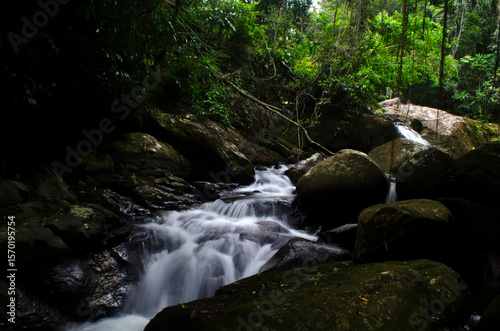 waterfall in the forest