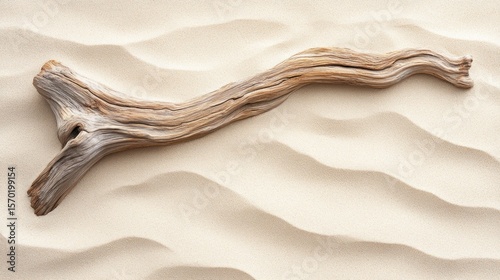 Driftwood resting on sandy beach.  A piece of weathered driftwood, light brown in color, lies diagonally across a smooth, light beige sandy surface with gentle waves