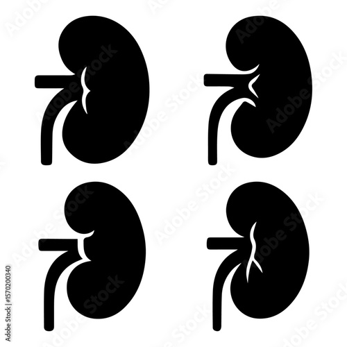 Human Kidney Anatomy Illustrations of Healthy and Diseased Kidneys