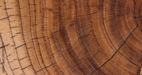 processed beautiful walnut wood used for the manufacture of objects, cracked board