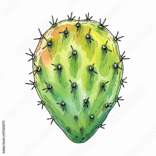 Spineless Nopal