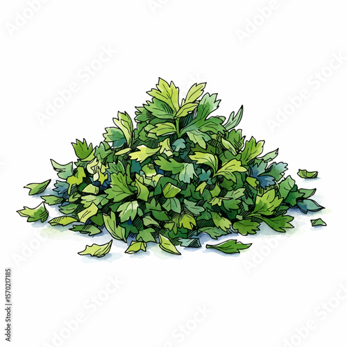 Chopped Parsley