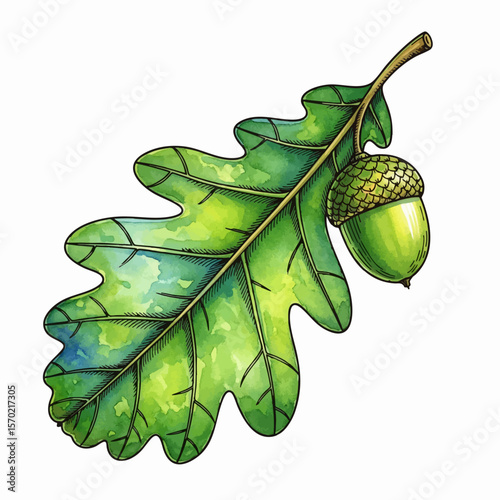Oak Leaf with Acorn