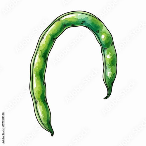 Arched Green Bean