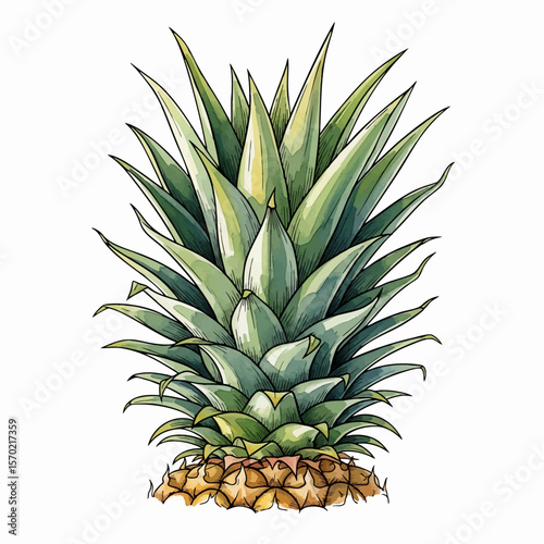 Pineapple Crown