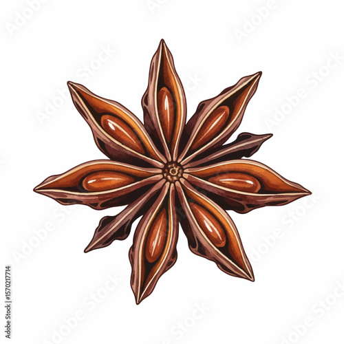 Dried Star Anise