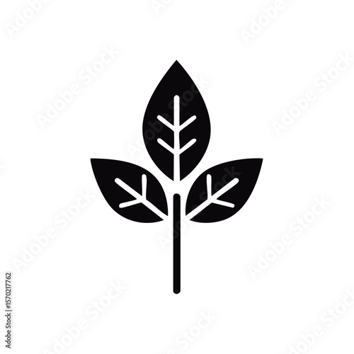Simple three leaf plant icon on black background nature symbol botany illustration vector graphic leaves and branch