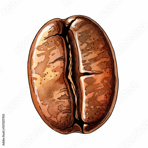 Roasted Coffee Bean