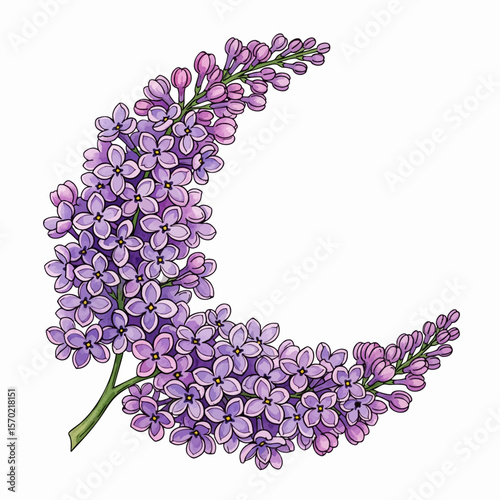 Lilac Crescent