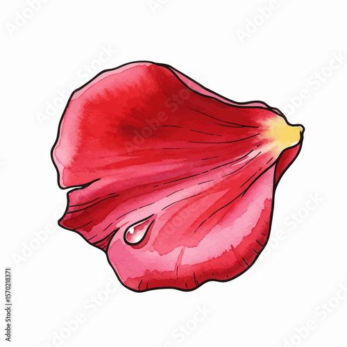 Torn Rose Petal
