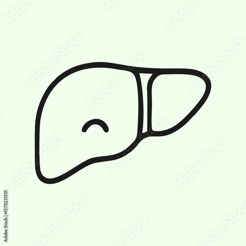 Vector Liver Illustration Simple Line Drawing