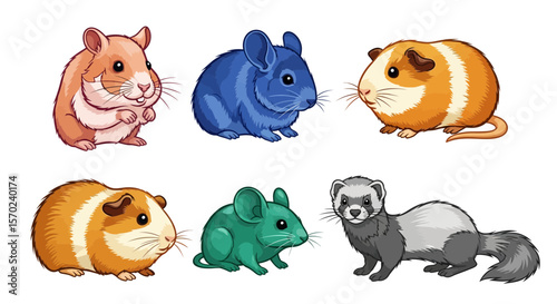 Vector explore adorable cartoon rodents and small mammals including hamster guinea pig chinchilla ferret mouse pet drawing