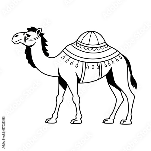 camel on the beach