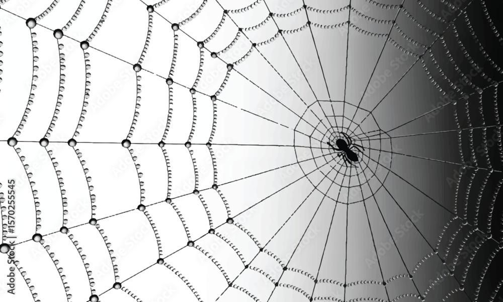 Obraz premium Spider on a Dew-Covered Web