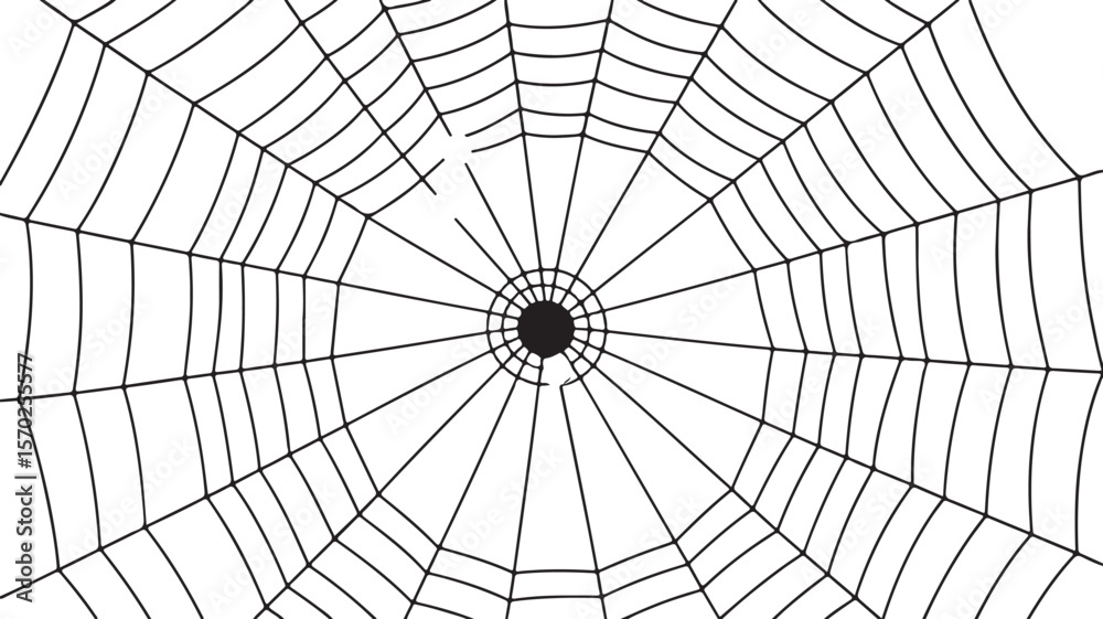 Obraz premium Spider Web with Concentric Circles